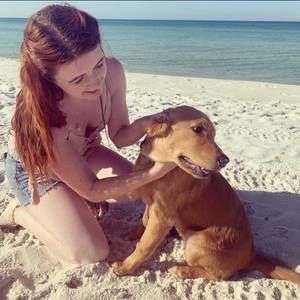 Meet your Posher, Mollie